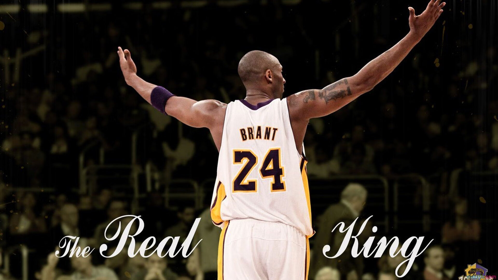 从岌岌可危到柳暗花明，海牛保级只剩最后一步，海牛濒危等级